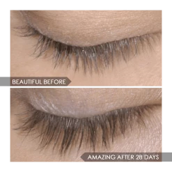 Cheap 👏 Mirenesse Gen II 4d Eyelash & Brow Growth Serum MINI- Stronger & Faster Results- Eyebrow With 24k Gold 😉 -MIRENESSE Sales Store cd713591841047dfb48fc5778063869e 1b52c098 e755 42d5 b4fc c3a6e0fb3b9a 1080x